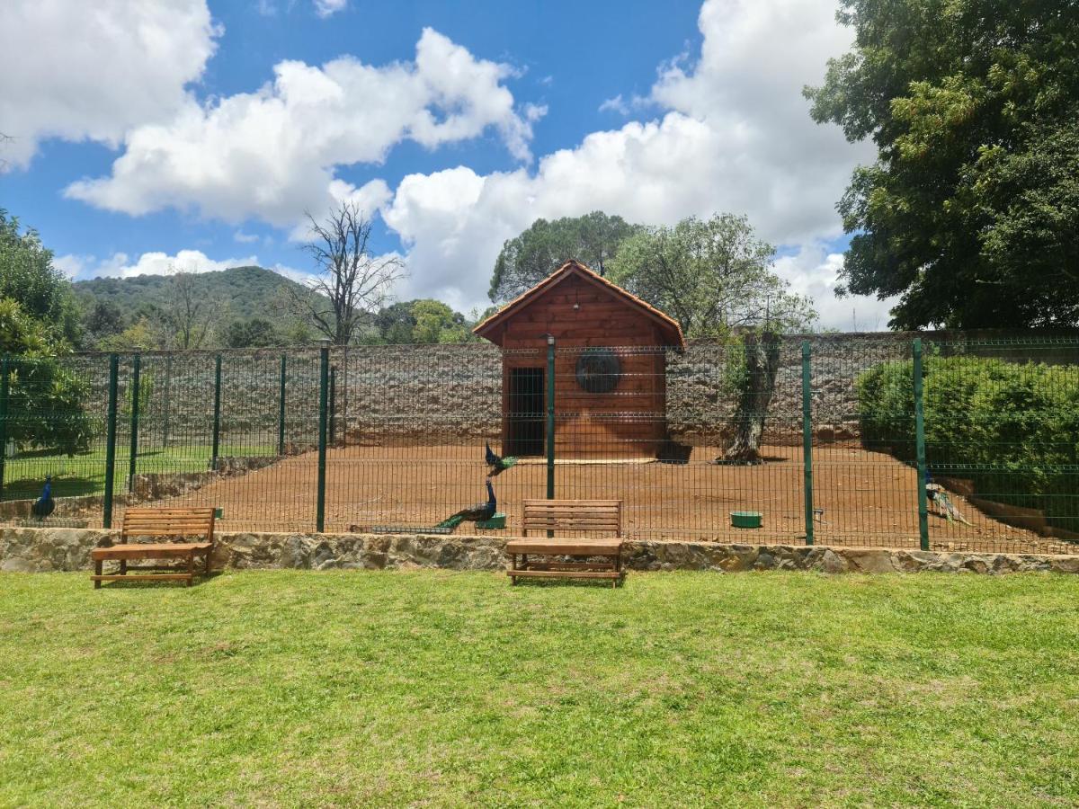 Finca Los Angeles Hospederia & Sociales ウアスカ・デ・オカンポ エクステリア 写真