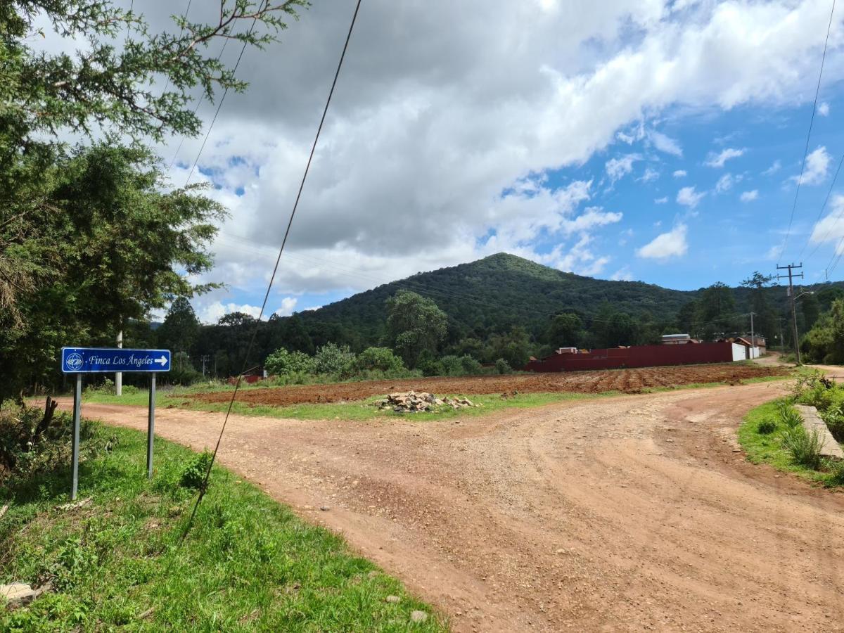 Finca Los Angeles Hospederia & Sociales ウアスカ・デ・オカンポ エクステリア 写真