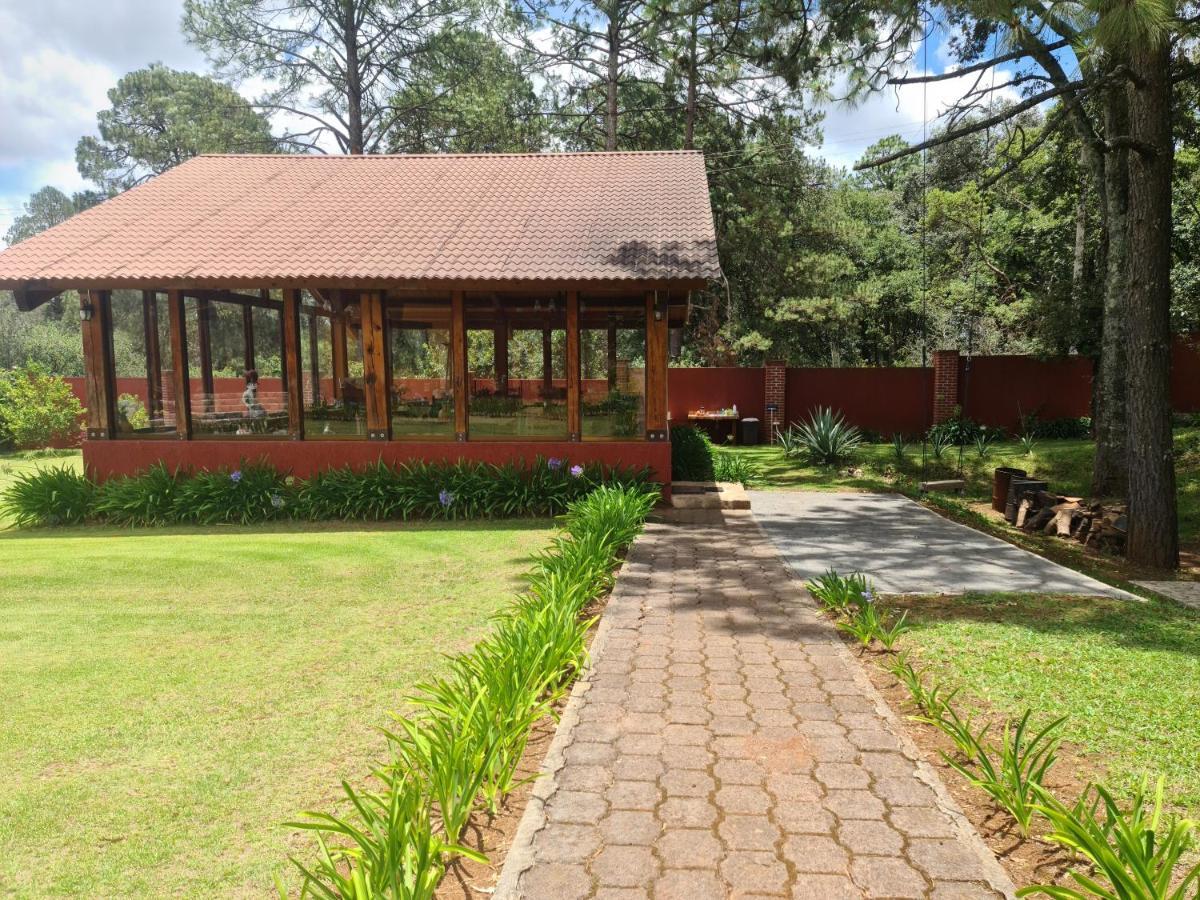 Finca Los Angeles Hospederia & Sociales ウアスカ・デ・オカンポ エクステリア 写真