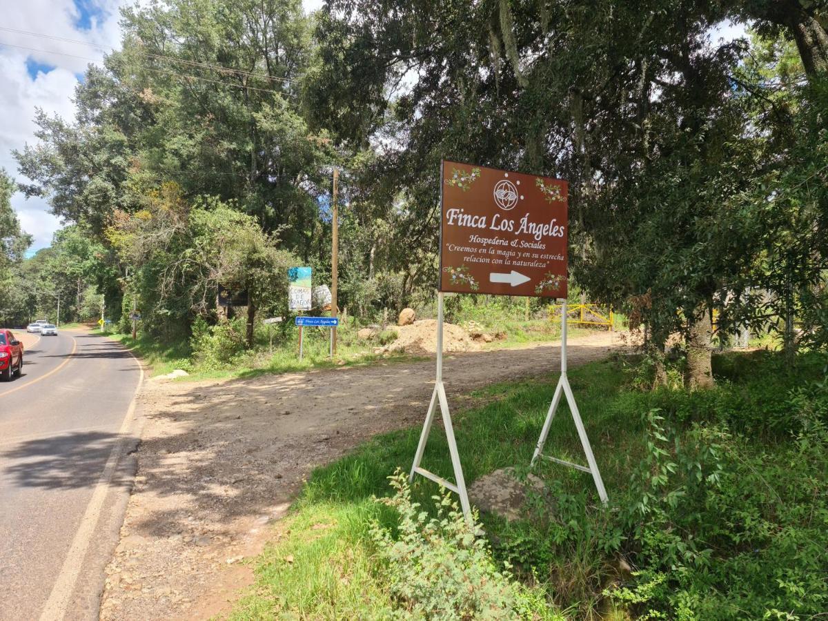 Finca Los Angeles Hospederia & Sociales ウアスカ・デ・オカンポ エクステリア 写真
